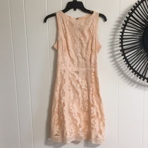Blush lace Chelsea and violet dress